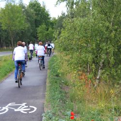 Droga rowerowa Toruń-Chełmża z odgałęzieniem do Kamionek Małych