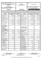 DPS Nieszawka-bilans za rok 2024.pdf