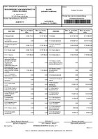 SDsOsiek - sprawozdanie za rok 2024.pdf